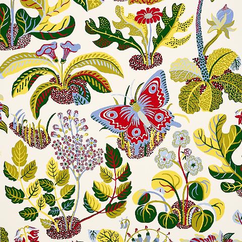 Exotic Butterfly