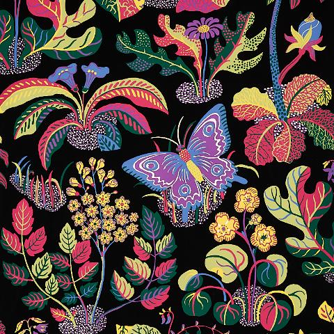 Exotic Butterfly