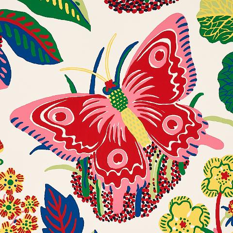 Exotic Butterfly