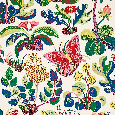Exotic Butterfly