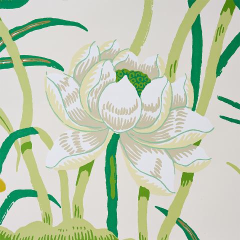 Lotus Garden