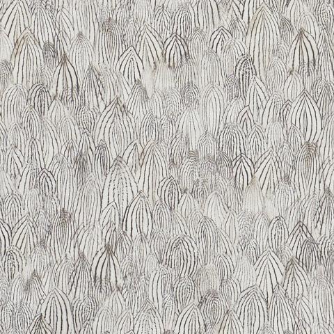 Feathers