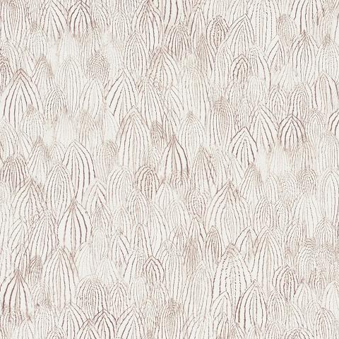 FEATHERS