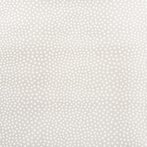 Raindots Vinyl