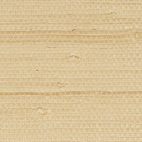 Kiyoko Jute