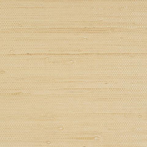 Kiyoko Jute