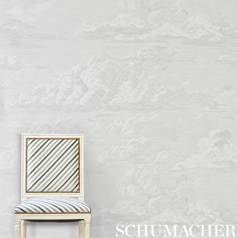 Cloud Toile