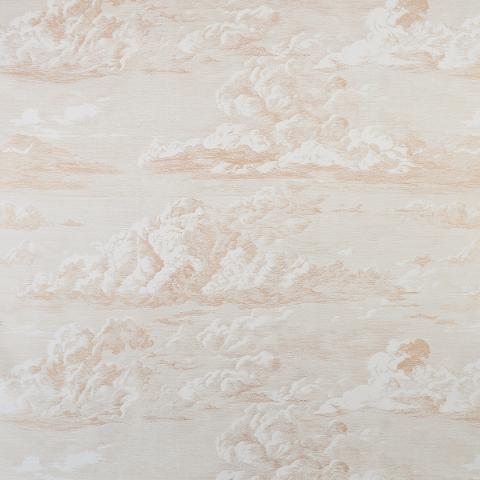 CLOUD TOILE