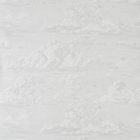 CLOUD TOILE