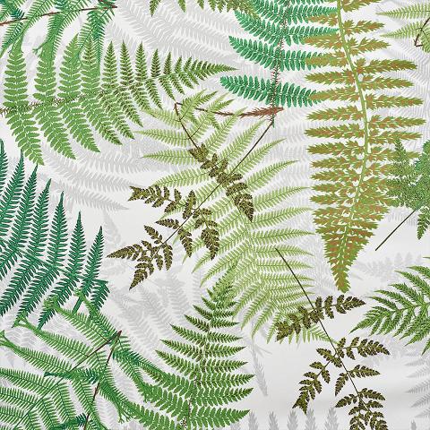 Fernarium
