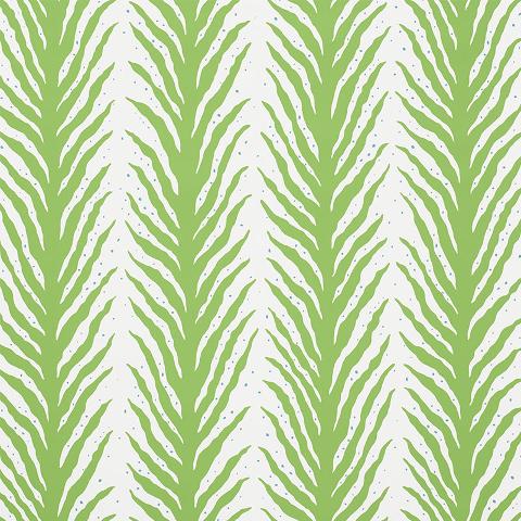 CREEPING FERN