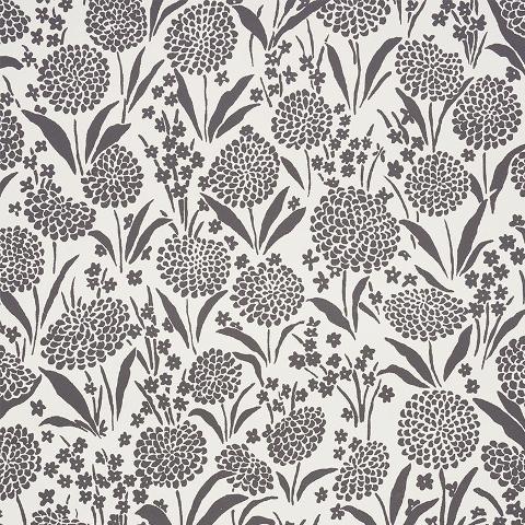 CHRYSANTHEMUM