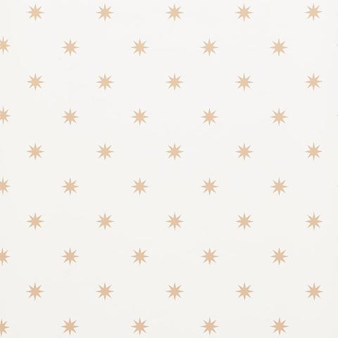 Stargaze