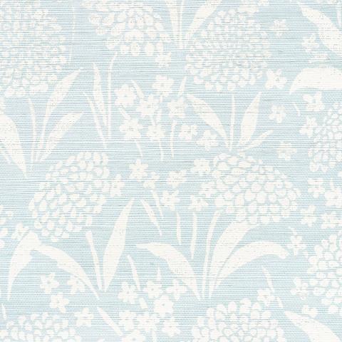 Chrysanthemum Sisal