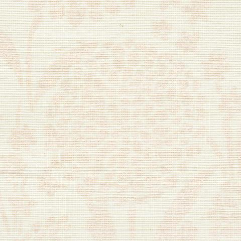 Chrysanthemum Sisal