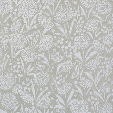 Chrysanthemum Sisal