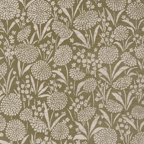 Chrysanthemum Sisal