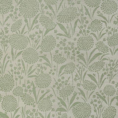 Chrysanthemum Sisal