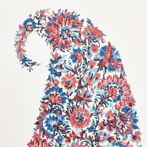 Shirala Paisley