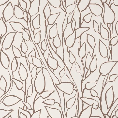 SOLANDRA VINE