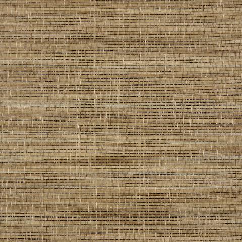 Palm Weave