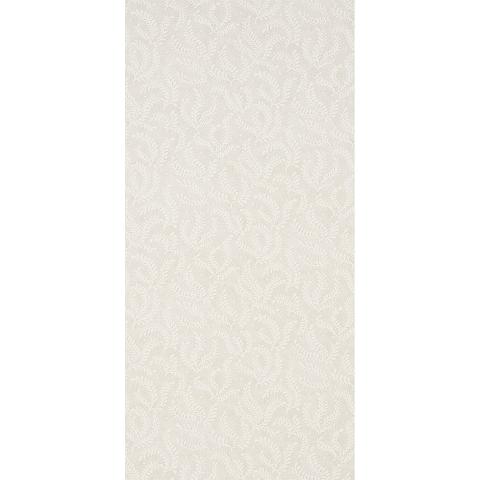 Etched Fern
