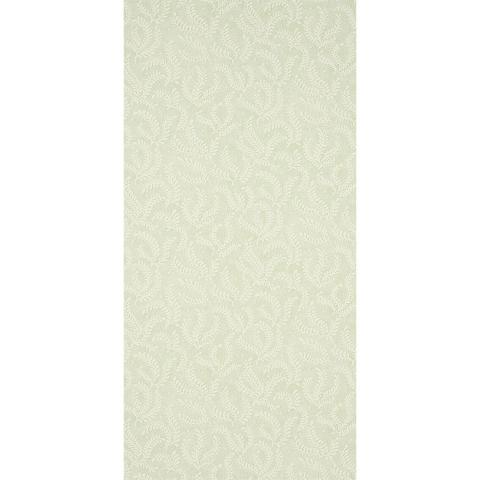 Etched Fern