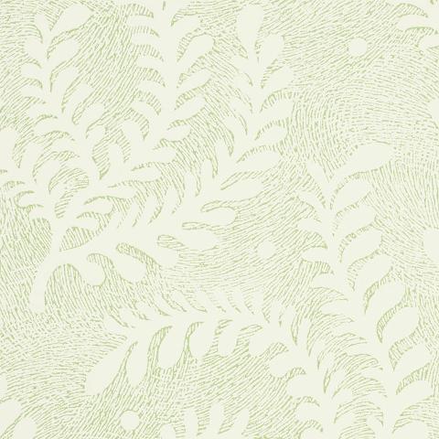 Etched Fern