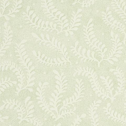 ETCHED FERN
