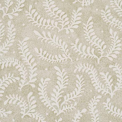 Etched Fern
