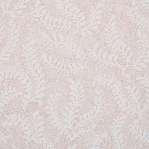 Etched Fern