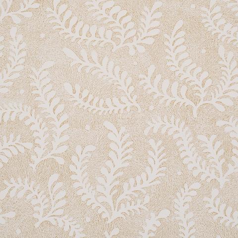 Etched Fern