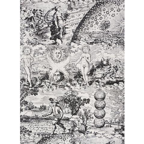 Modern Toile