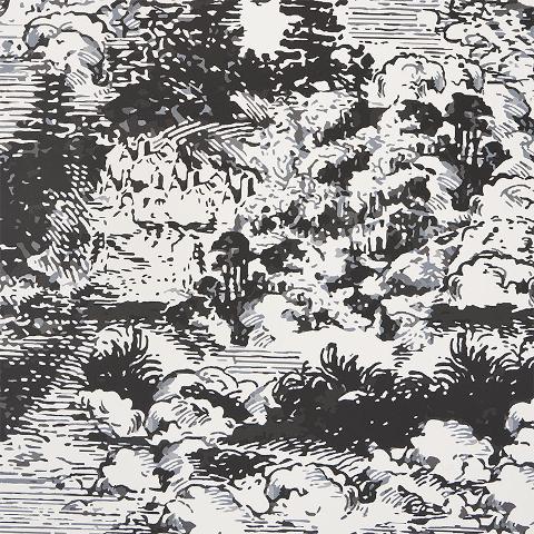 Modern Toile