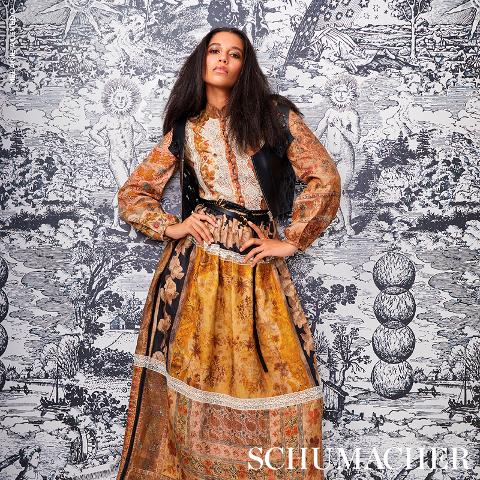 Modern Toile