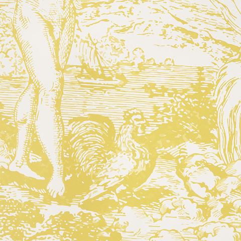 Modern Toile