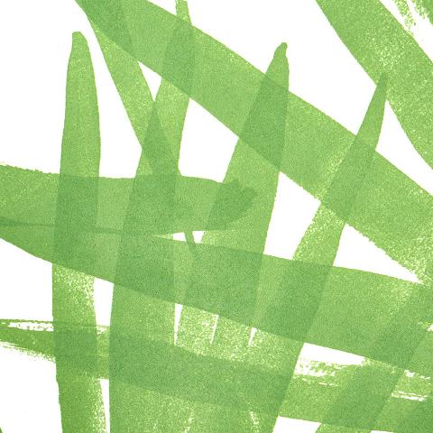 Sunlit Palm