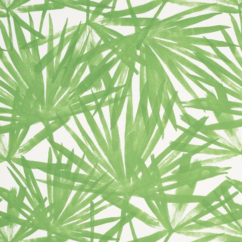 SUNLIT PALM