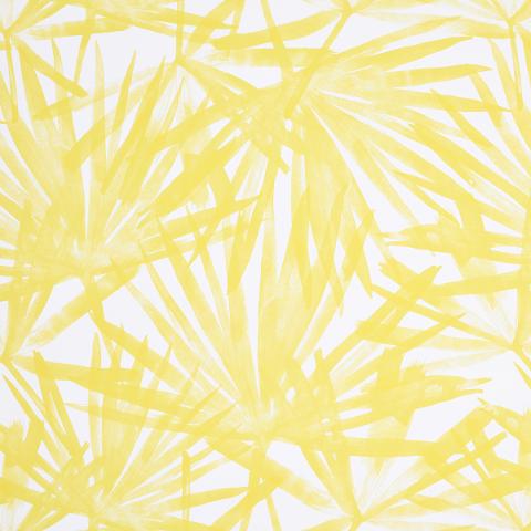 SUNLIT PALM