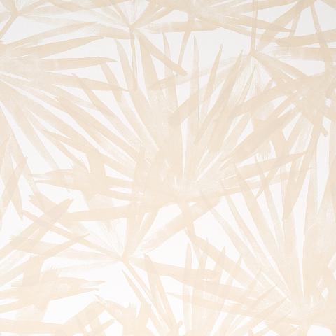 Sunlit Palm