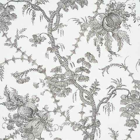 SAN CRISTOBAL TOILE