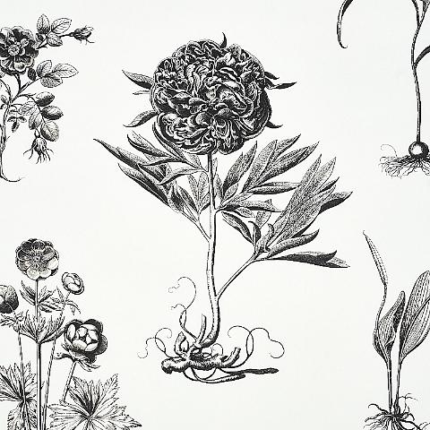 Cabot Botanical Large