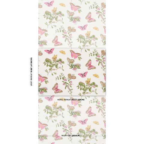 Baudin Butterfly