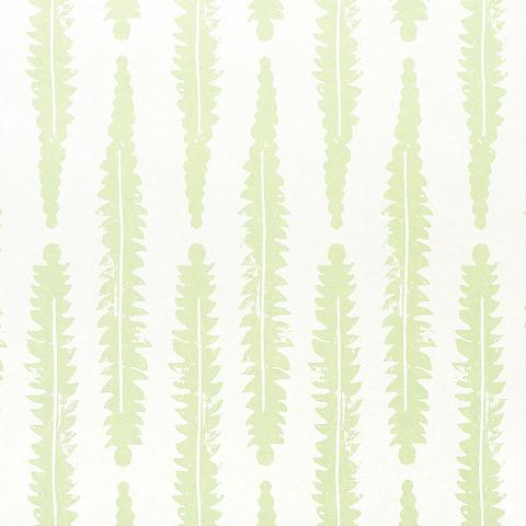Fern