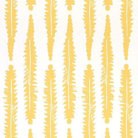 Fern
