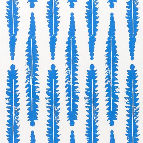 Fern