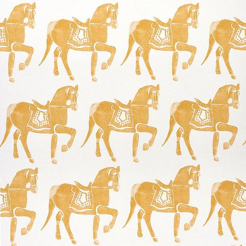 Marwari Horse