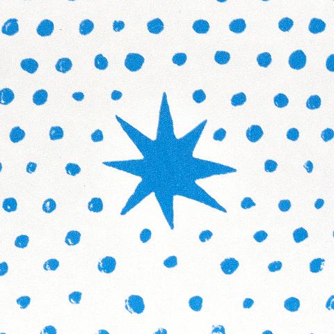 Spot & Star