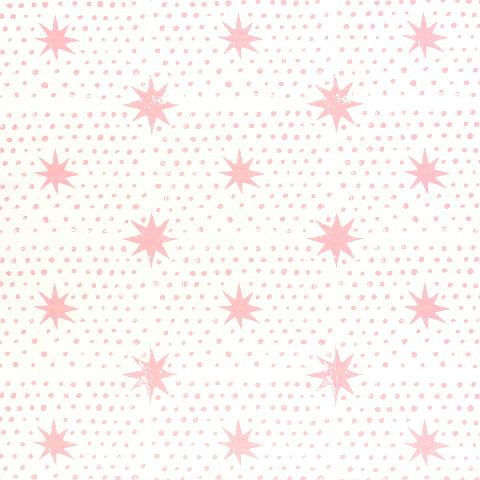 Spot & Star