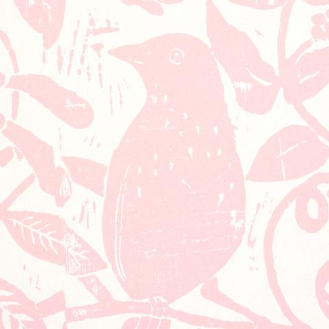 Bird & Bee